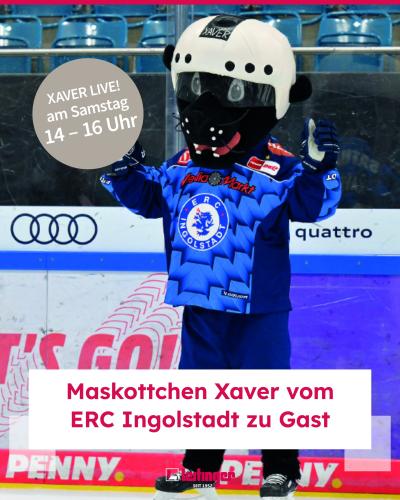 Maskottchen ERCI Xaver