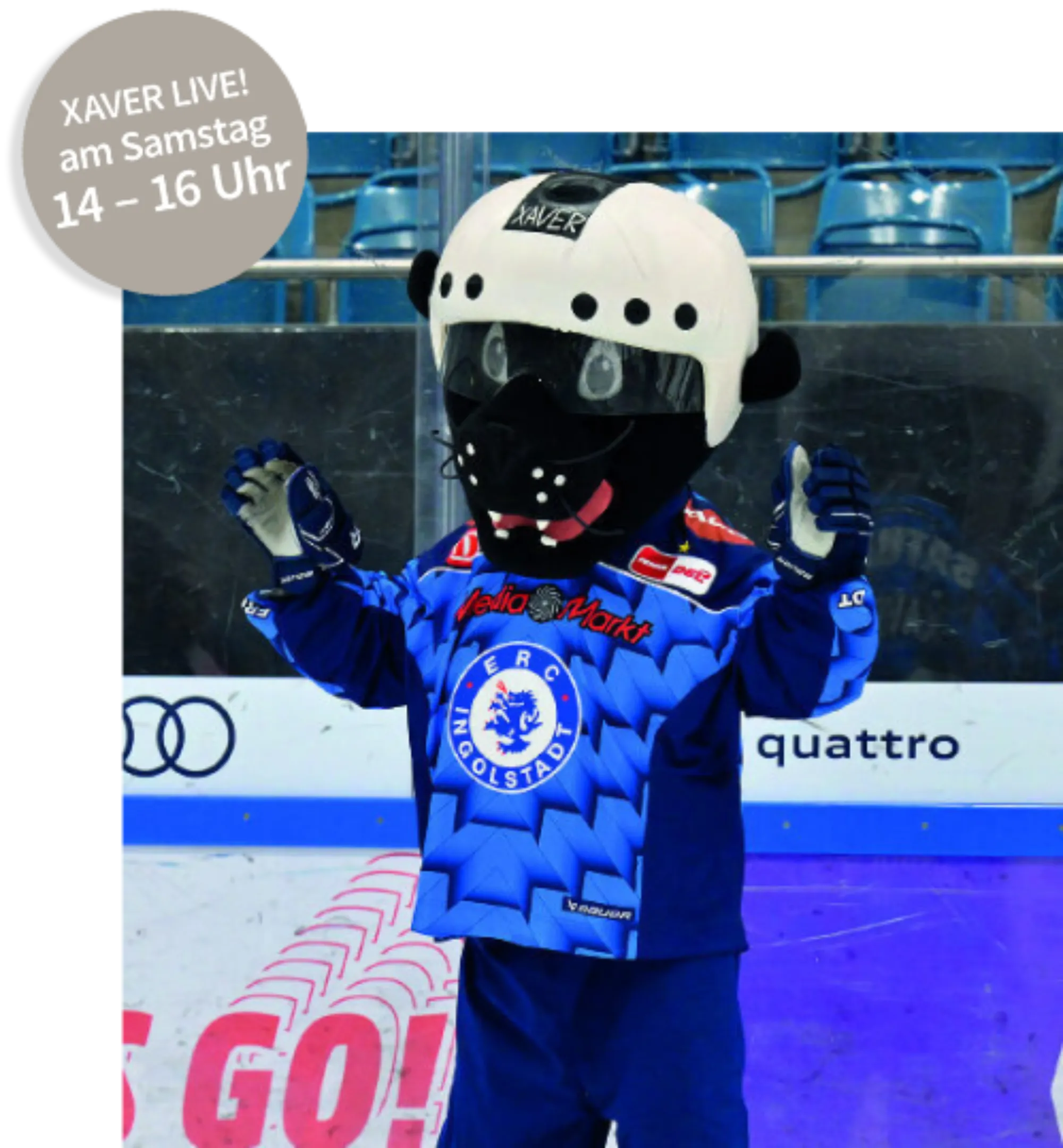 <think> Got it, let's create the alt text. First, identify what's visible. The mascot Xaver is wearing a blue outfit with "E…